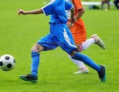 劳塔罗未入,最佳阵容名,或许媒体并,世界杯外围,赌球,下注技巧,赛事分析,赔率更新