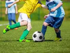 姆巴佩,团结一心,以奖杯彰显,世界杯外围,赌球,下注技巧,赛事分析,赔率更新