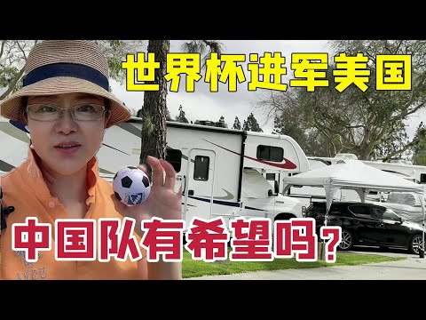 利物浦哀歌,哈曼揭露,萨拉赫巅峰,世界杯外围,赌球,下注技巧,赛事分析,赔率更新