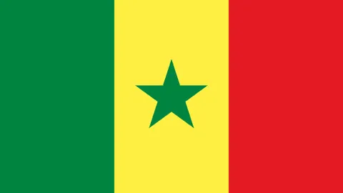 长春亚泰基地迎接“小雪”挑战，开启天然草坪保暖新篇章！