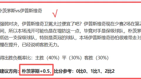 NBA专家分析：掘金对阵森林狼8胜6期号解读